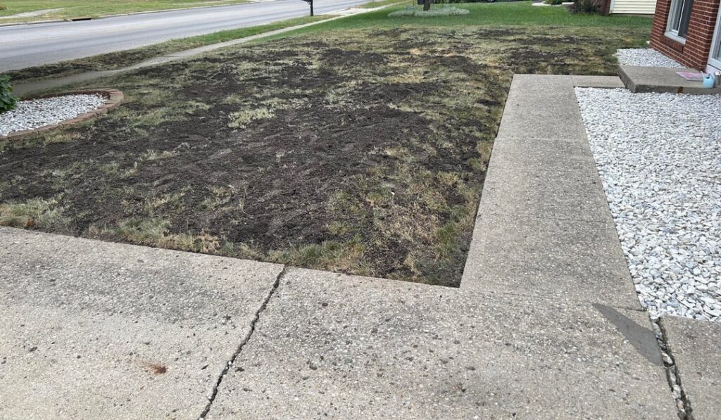 Labor Day weekend vs. now