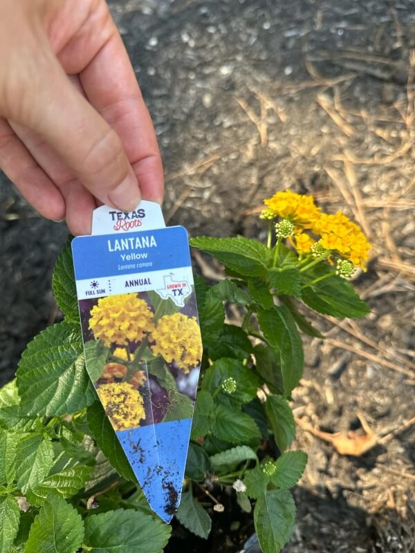 Other Redditors were quick to warn the original poster.