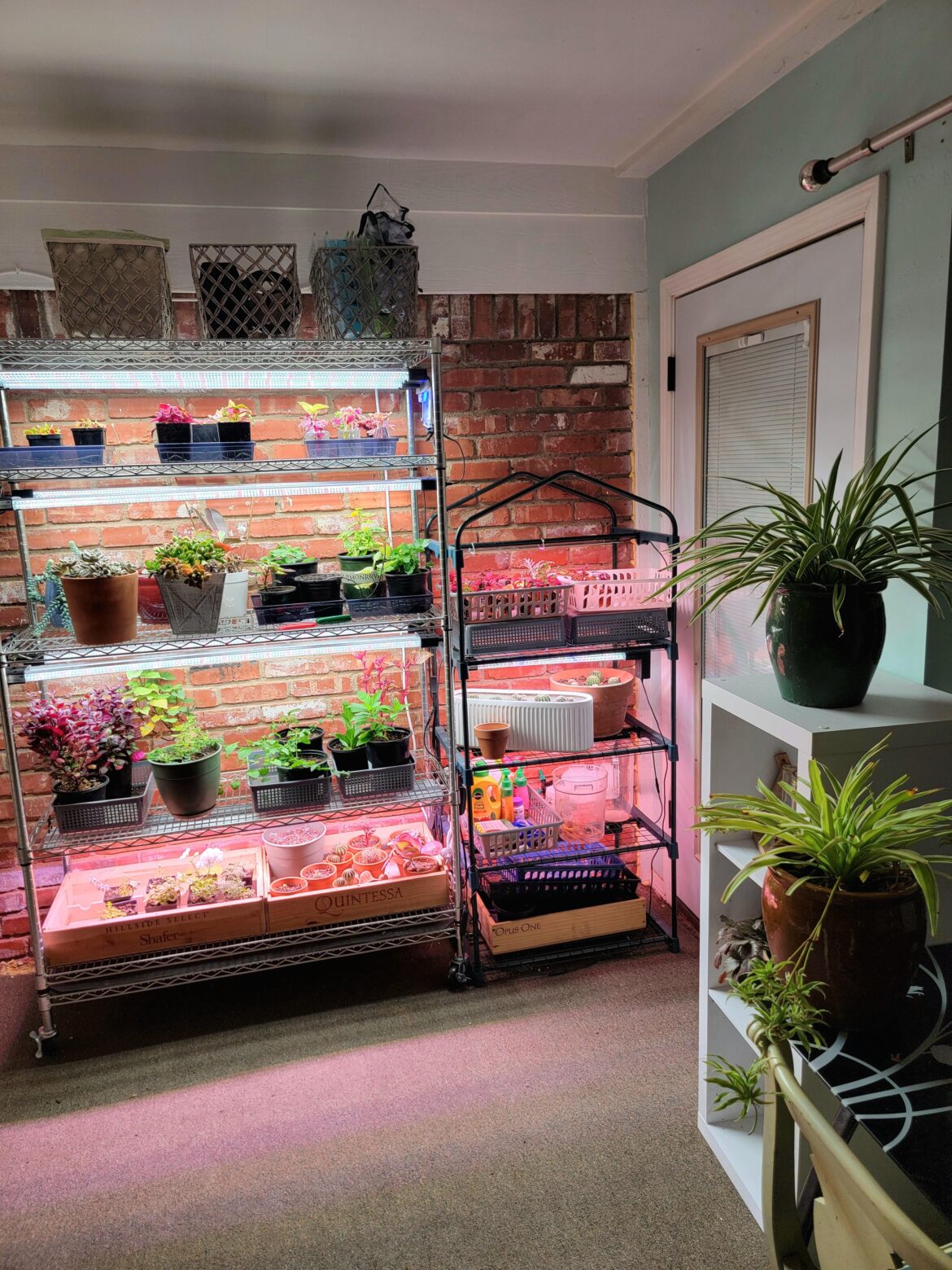 Just wanted to share my sanctuary.