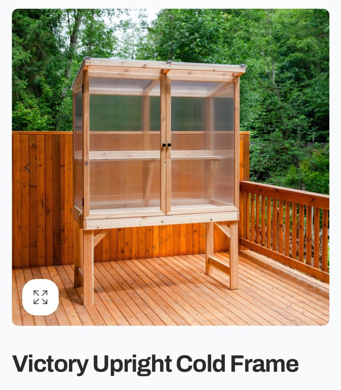 Anyone got one of these?