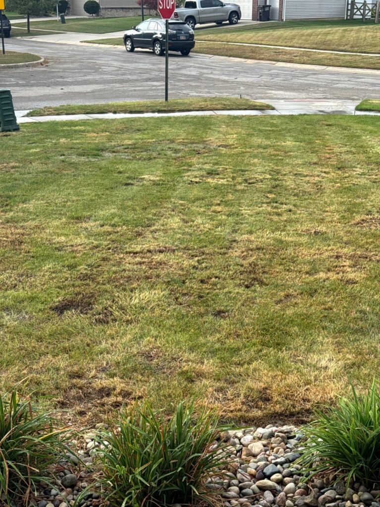 Obligatory first cut post