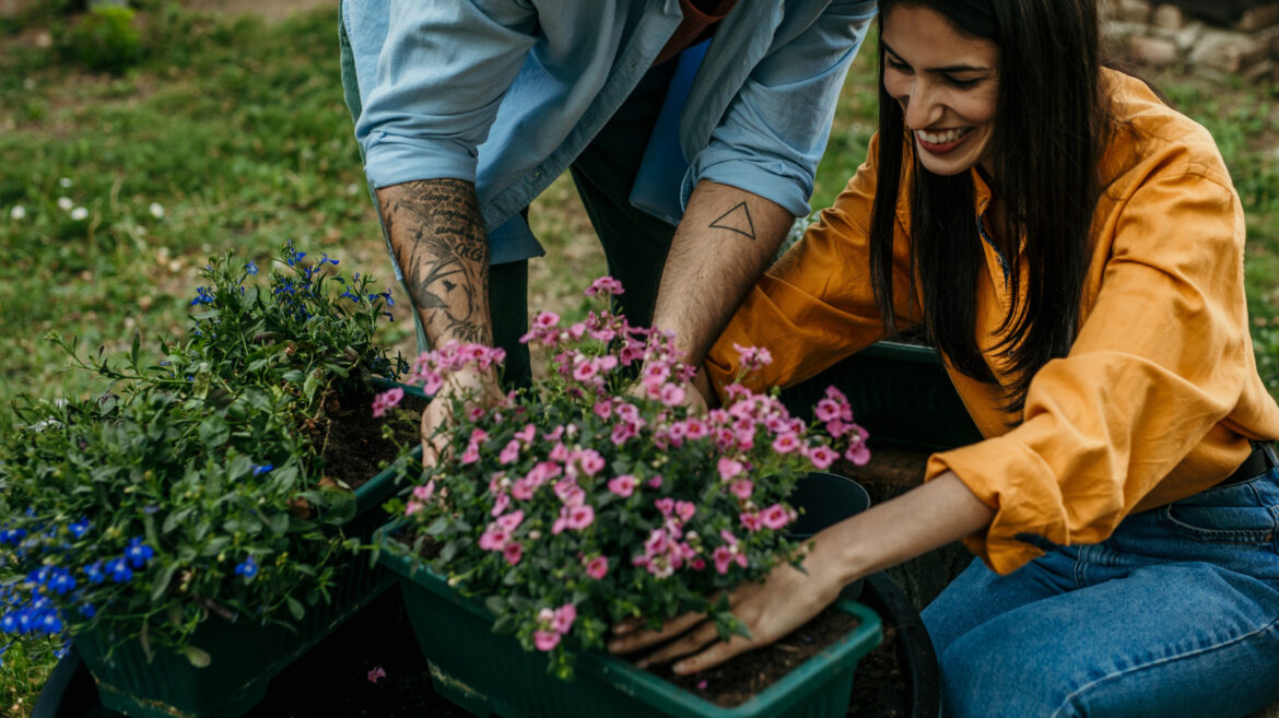 28 Gorgeous Flowers You Can Plant In Fall To Kickstart A Stunning Spring Garden 28 Gorgeous Flowers You Can Plant In Fall To Kickstart A Stunning Spring Garden
