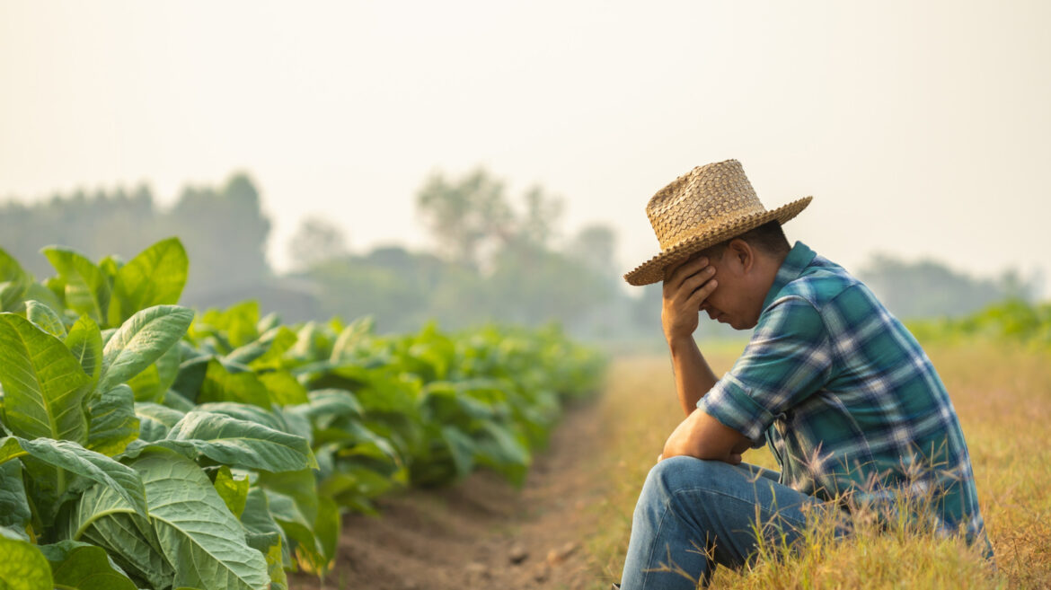 Should Gardeners Worry About The Dangerous Pest That Just Came To The US For The First Time? Should Gardeners Worry About The Dangerous Pest That Just Came To The US For The First Time?