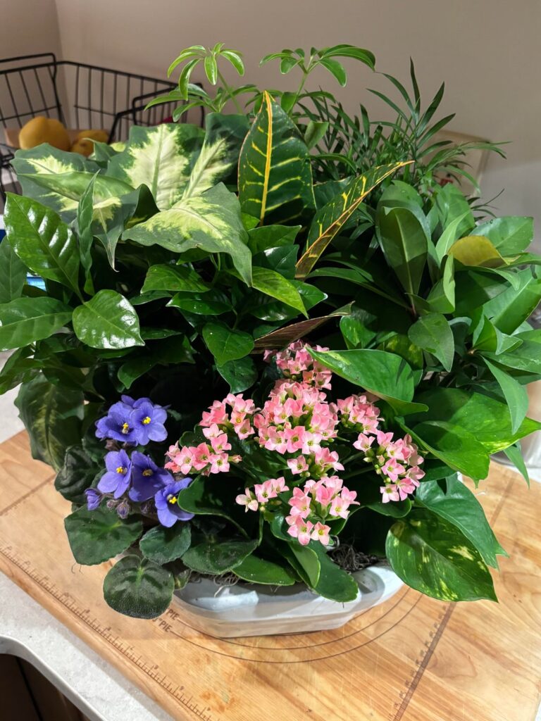 What to do with this arrangement?