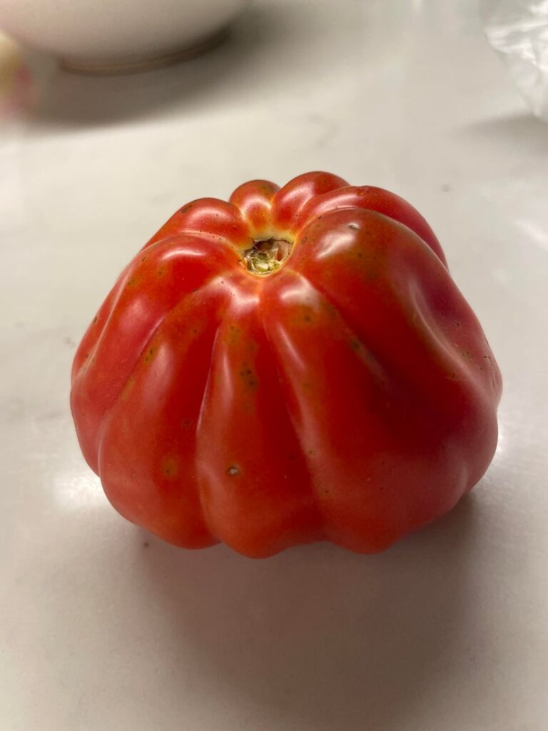 What kind are they? What kind are they?