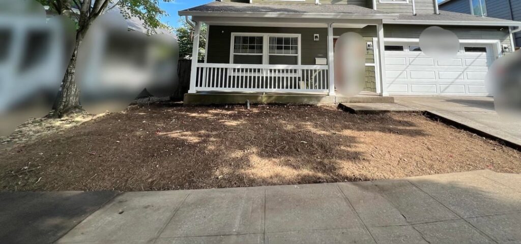 Front yard 3 year progress Front yard 3 year progress