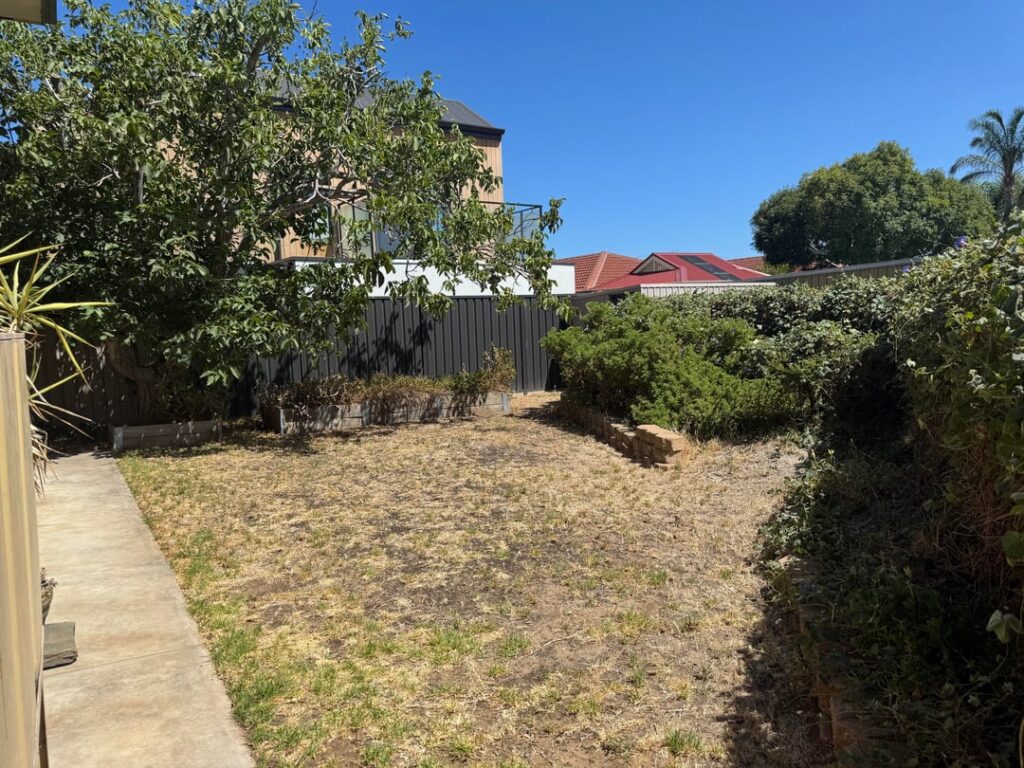 Has anyone had success with solarising kikuyu? Has anyone had success with solarising kikuyu?