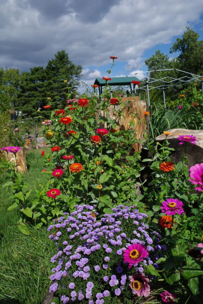 Flowers from today Ohio 6a