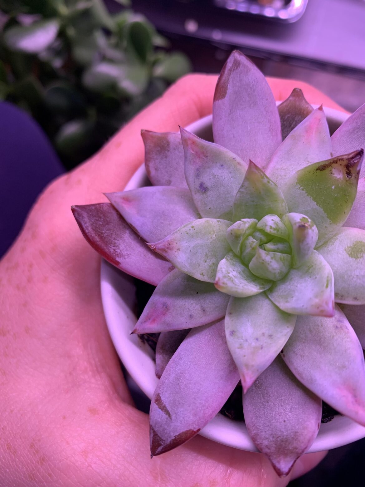 Weird marks?