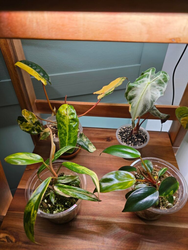 Some of my favorites 😍