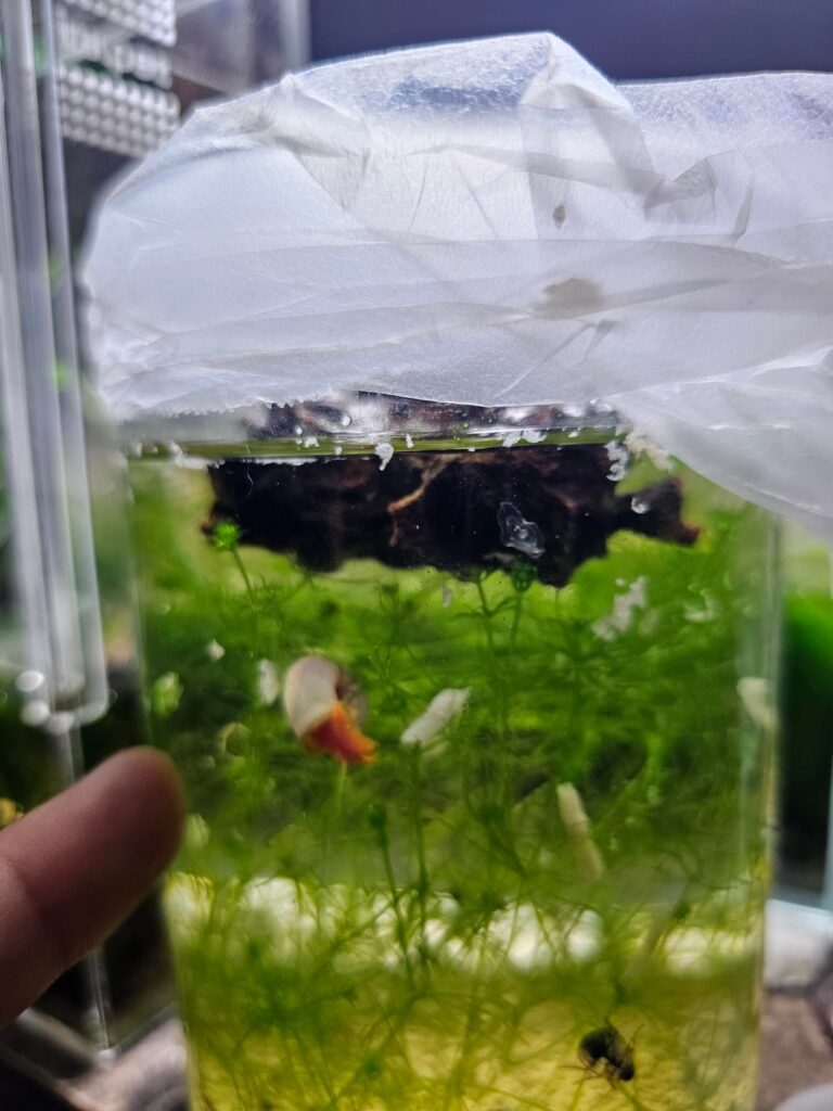 Hmmm, what is this? Hmmm, what is this?