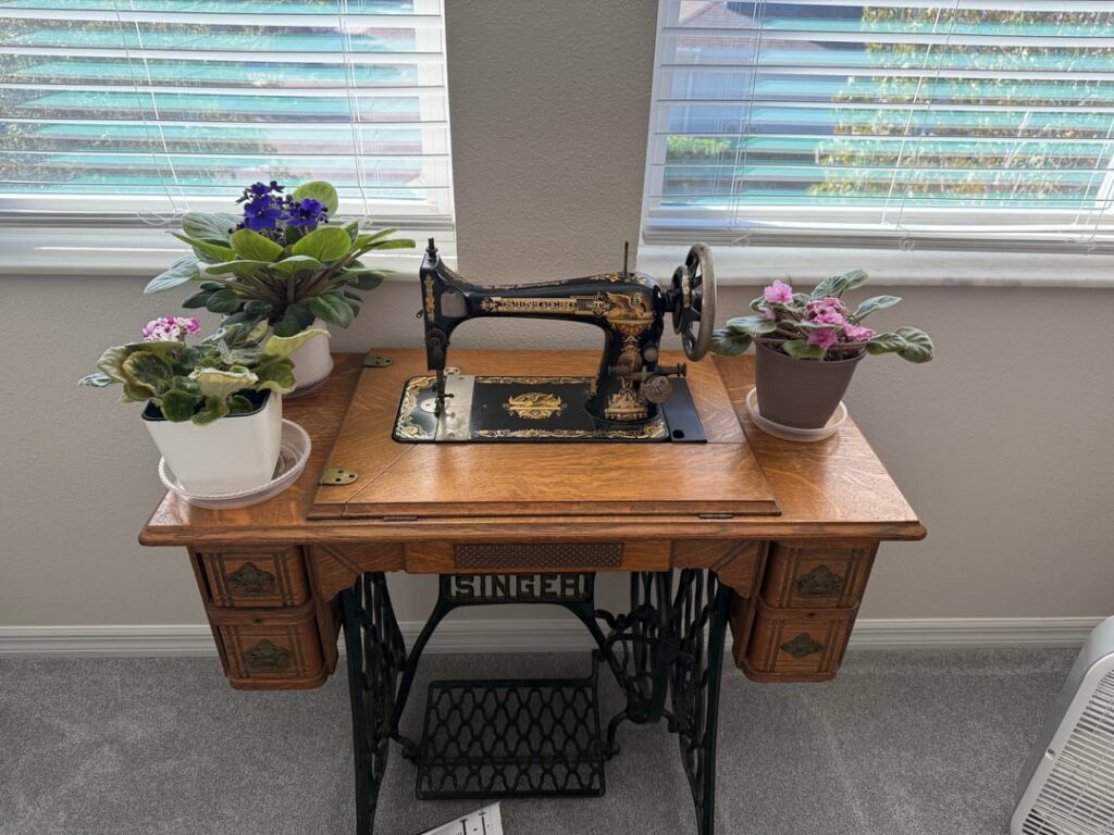 Loving my violets in Florida