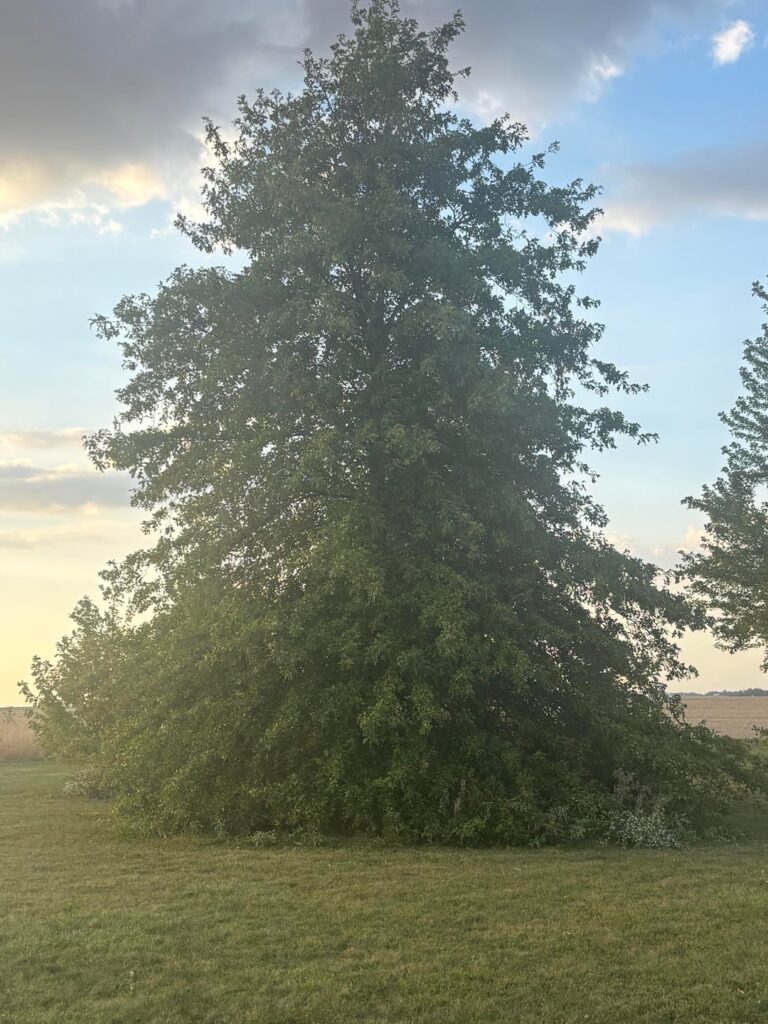 So I bought this property… So I bought this property…