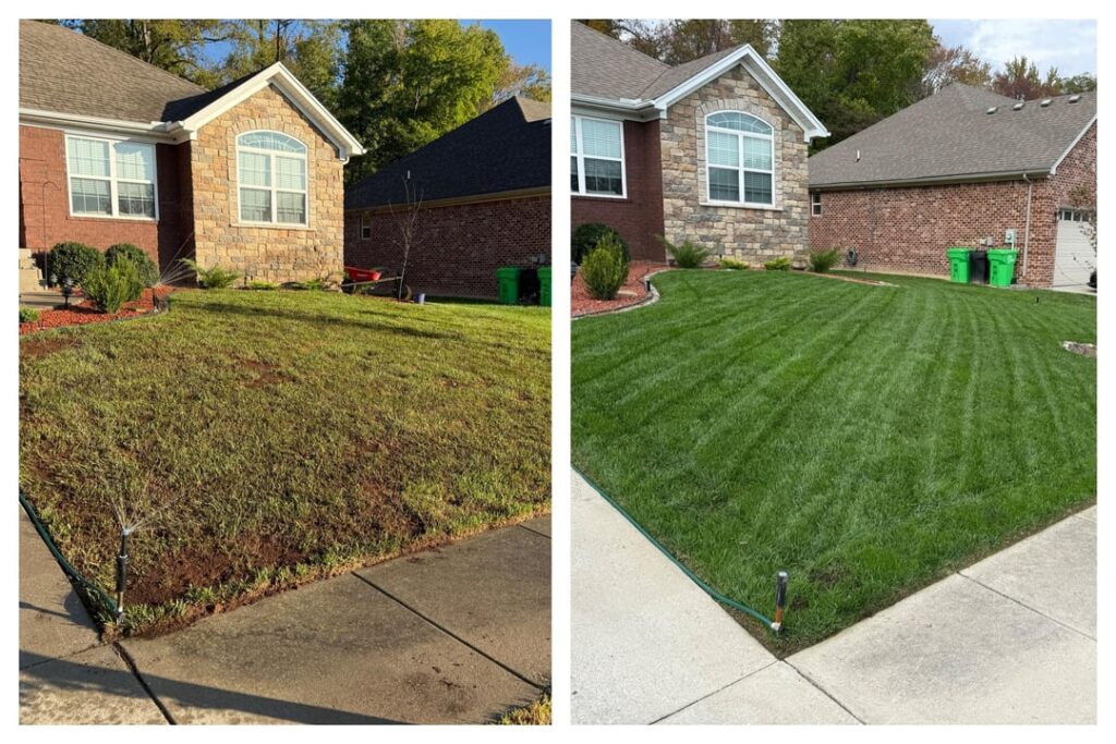 2 Month Transformation