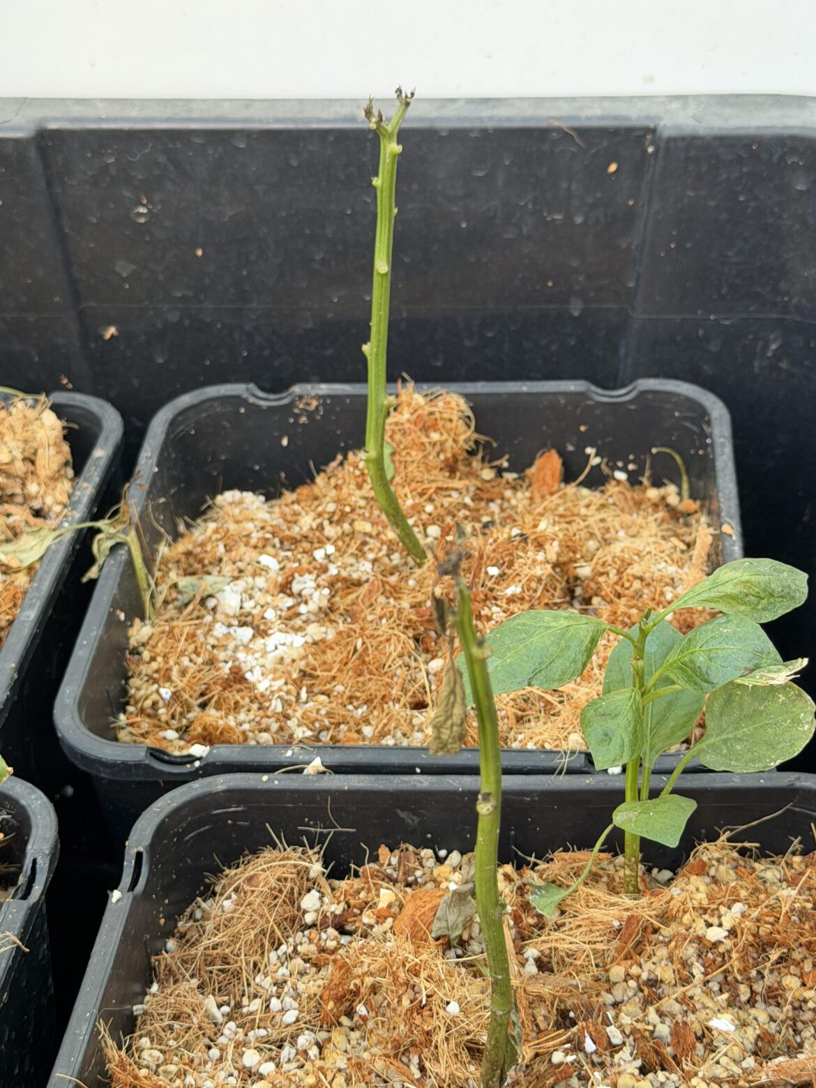 Is it savable? Is it savable?