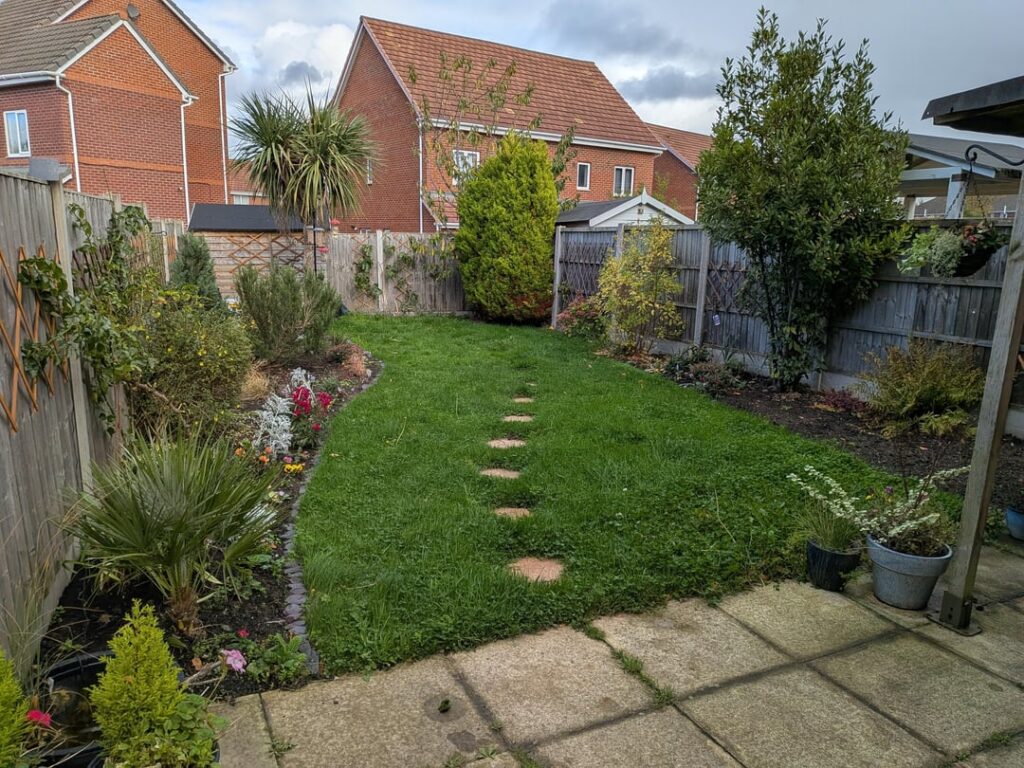 Twelve months of my garden: October