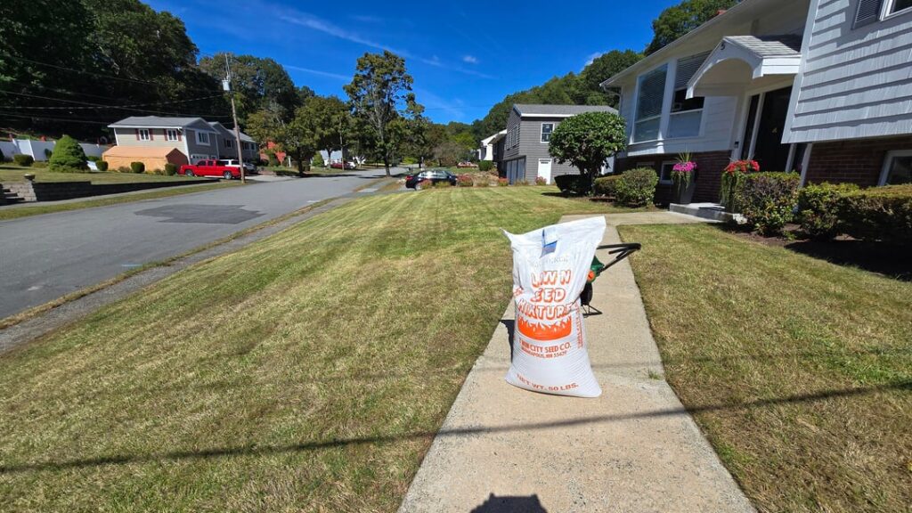 First mow after overseed (MA, 6b)