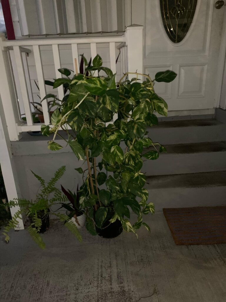 I just had to share I just had to share