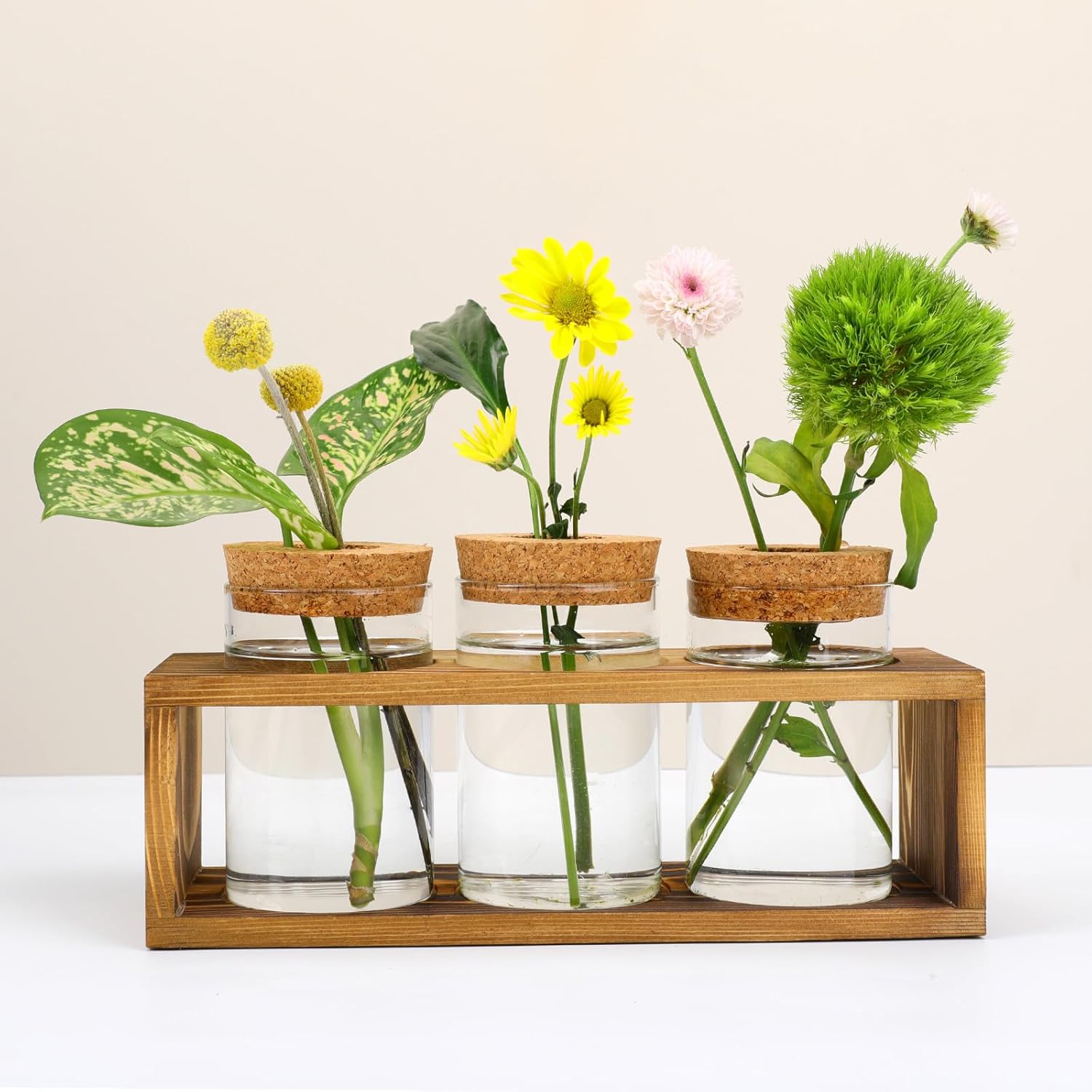 Pechaut Propagation Stations, Plant Terrarium for Indoor Hydroponic Decor, Glass Planters for Fresh Cuttings, Unique Birthday Gifts for Women &amp; Mom, Home/office Decor