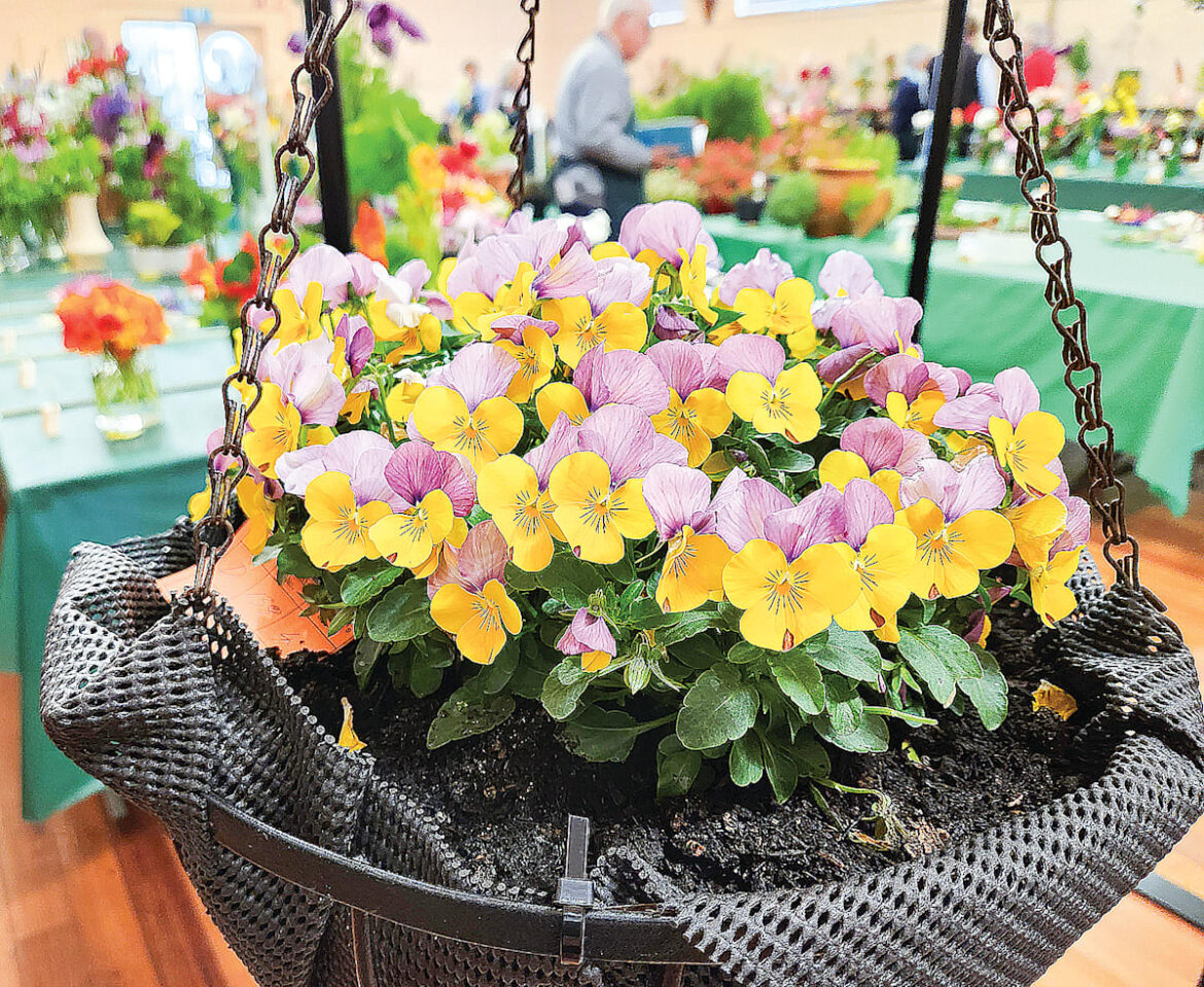 Spooky blooms and garden magic, don’t miss the 65th Spring Show Spooky blooms and garden magic, don’t miss the 65th Spring Show