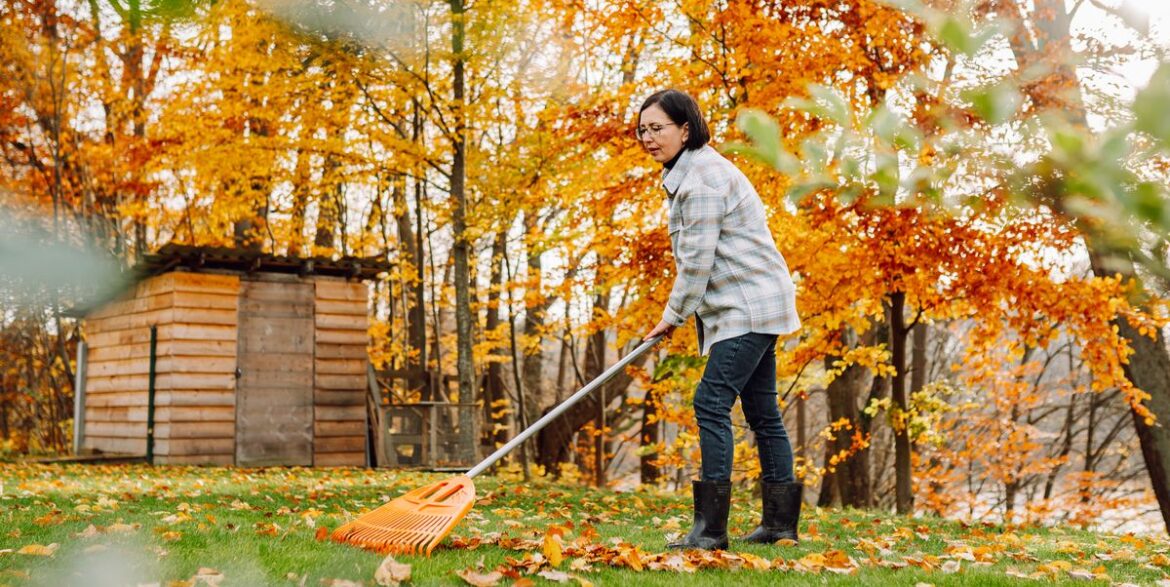 When Is the Best Time to Rake Leaves? When Is the Best Time to Rake Leaves?
