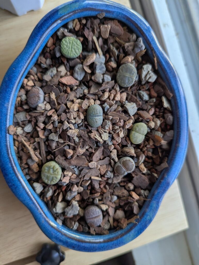 Got my first shipment in Got my first shipment in