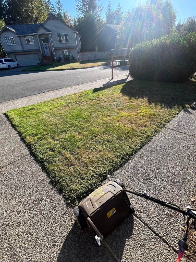 First time lawn owner - this sub is invaluable.