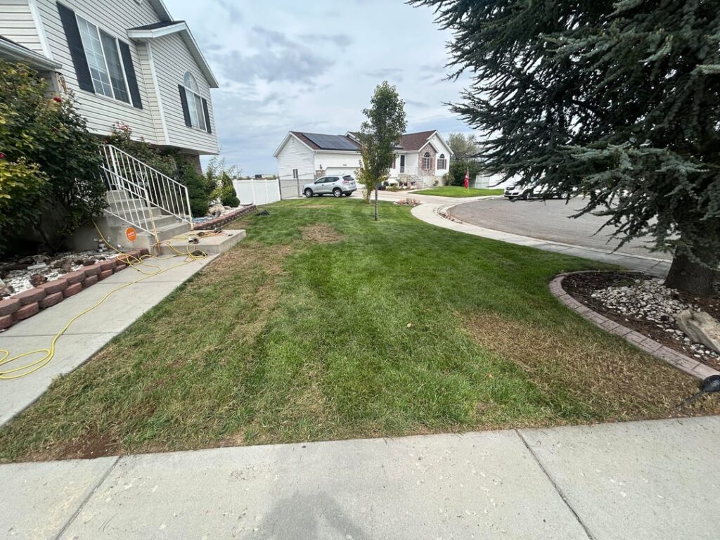 Fall Overseed/Renovation before and after Fall Overseed/Renovation before and after