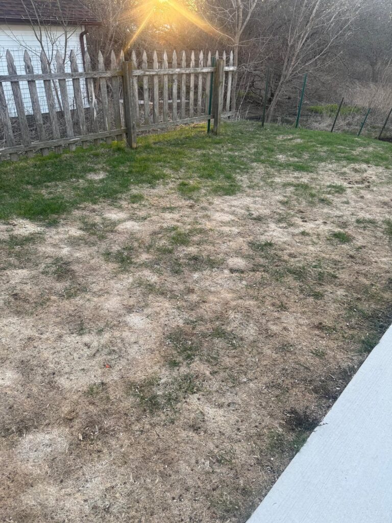 How it started/ how it ended