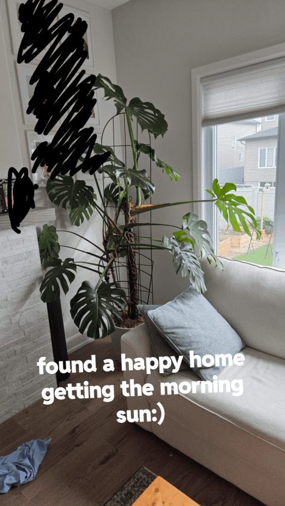 Proud of the twins:)