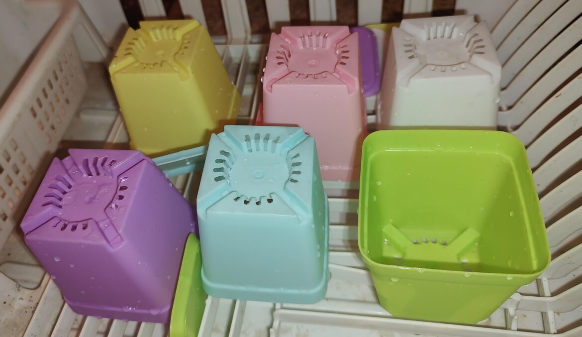 When you wash pots do you automatically disinfect?