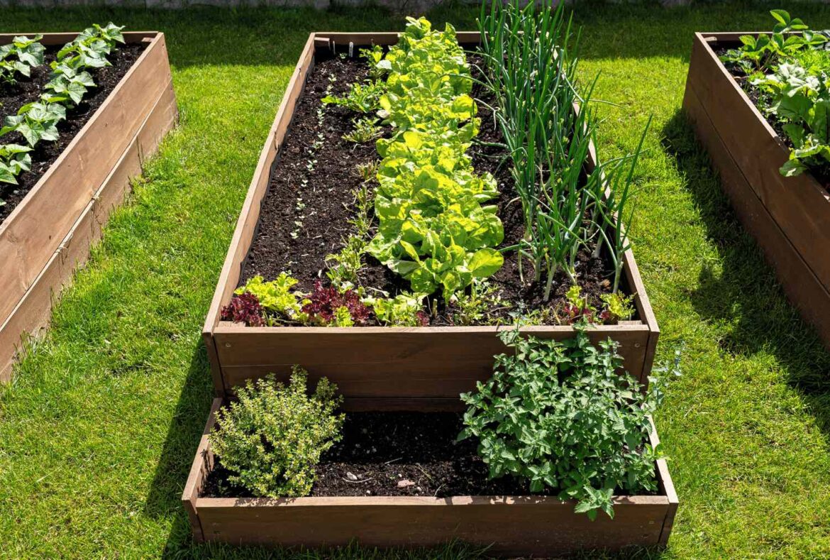 How to Create the Best Soil for Raised Beds, According to Experts