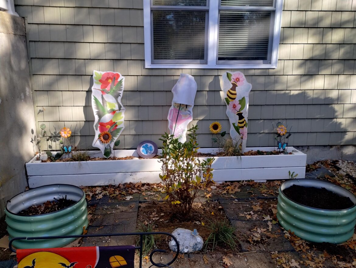 Native strawberry as ground cover in raised bed Native strawberry as ground cover in raised bed