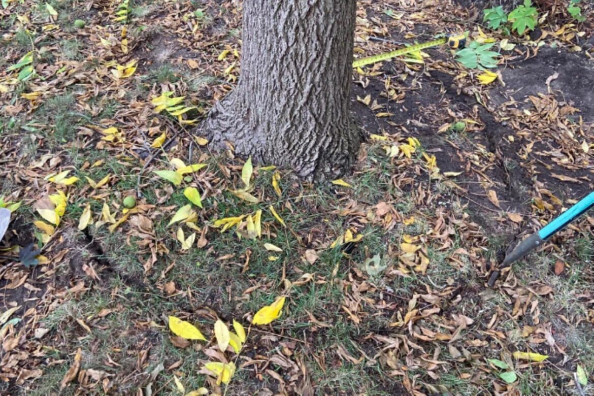 Commenters shared their disapproval.