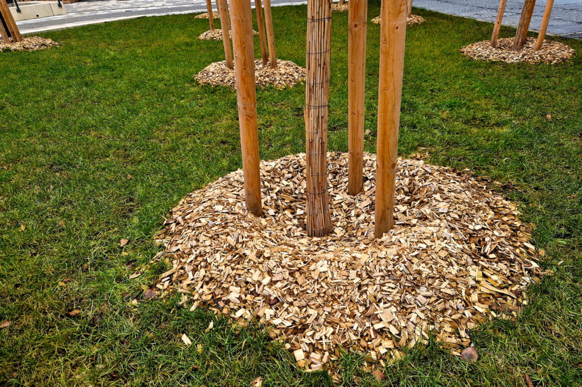 ‘You do not want this’ One gardener is warning against mulch volcanoes, sharing how they can harm your trees, and suggesting better alternatives.