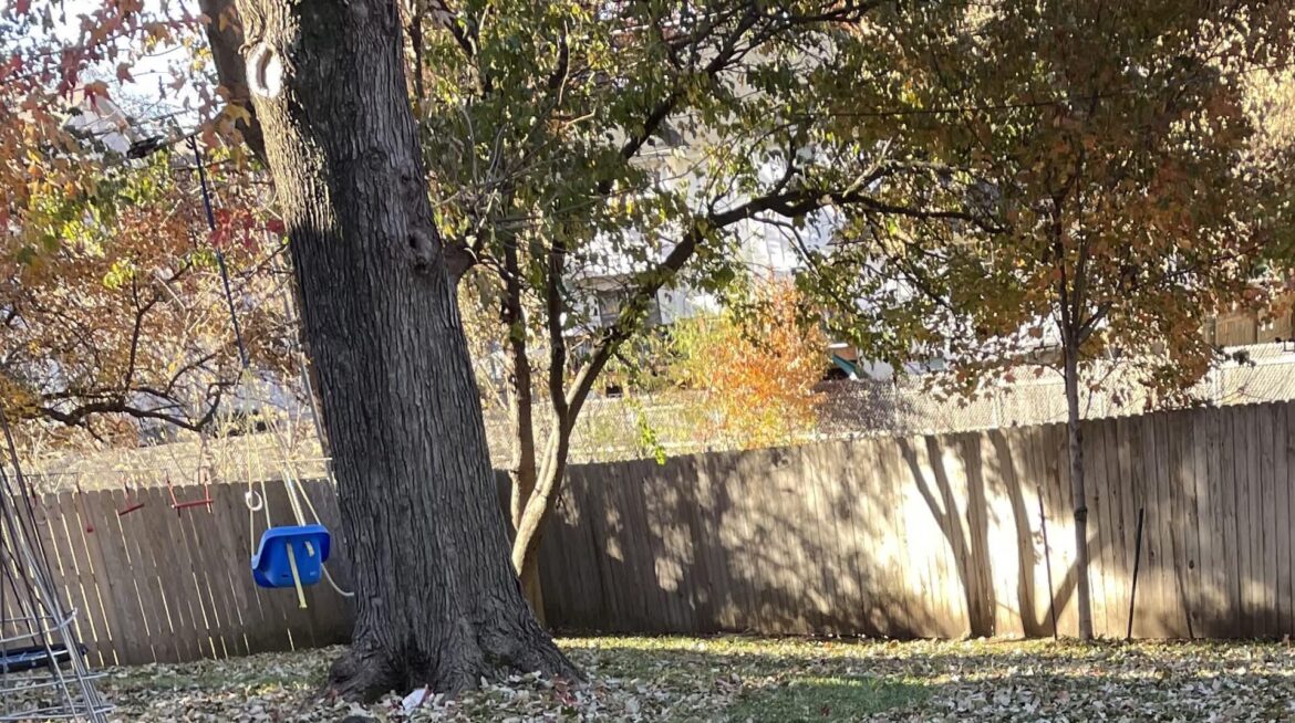 ‘Good for some people but really bad for others’ "It looks terrific and is a hell of a lot less work!"