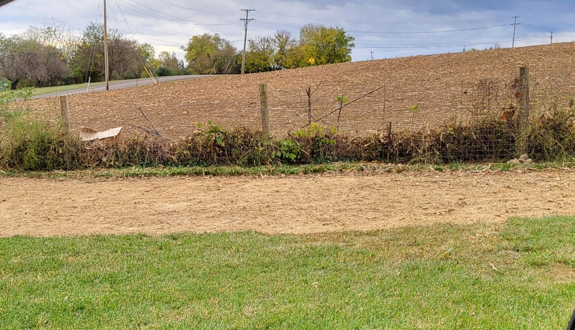 Bare soil, next steps? Bare soil, next steps?
