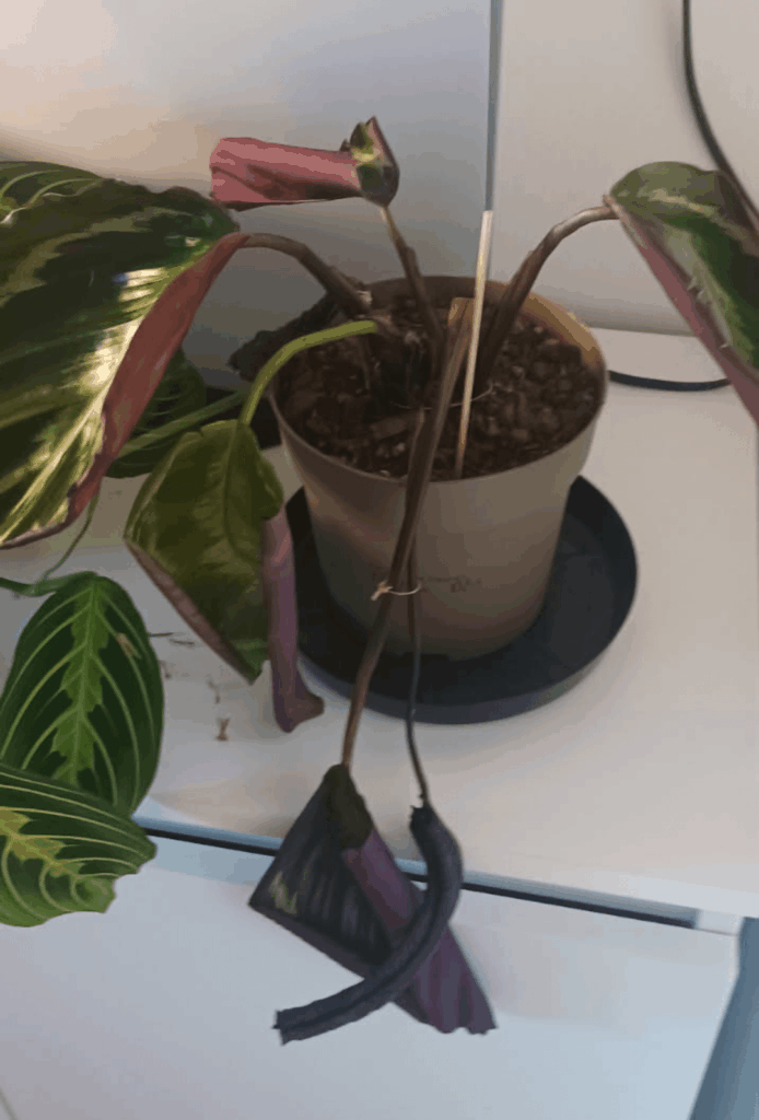 I'm done with this one