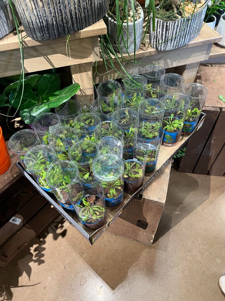 $2.80 VFTs at Kroger