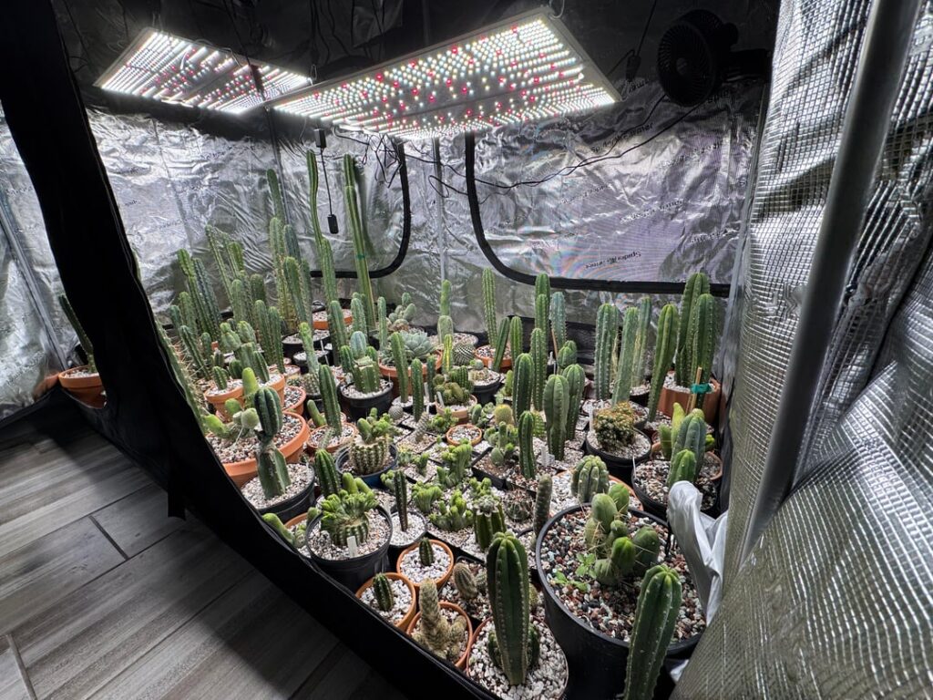 The Great Migration is complete.