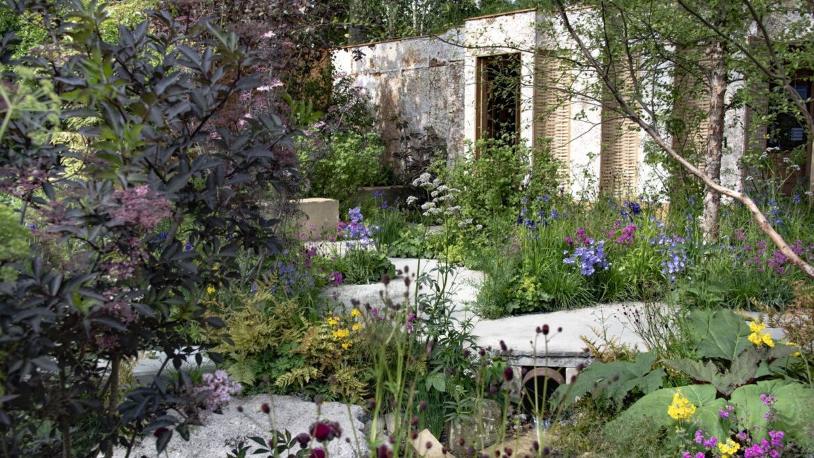 First look at the RHS Chelsea Flower Show 2026 gardens A show garden with packed borders and a white building at the Chelsea Flower Show 2025
