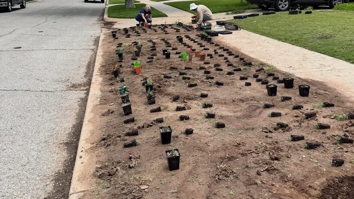 Homeowner shares stunning before-and-after photos after transforming strip of grass along curb: ‘Inspiringly beautiful’ "We’ve had such a fun time and a lot of success."