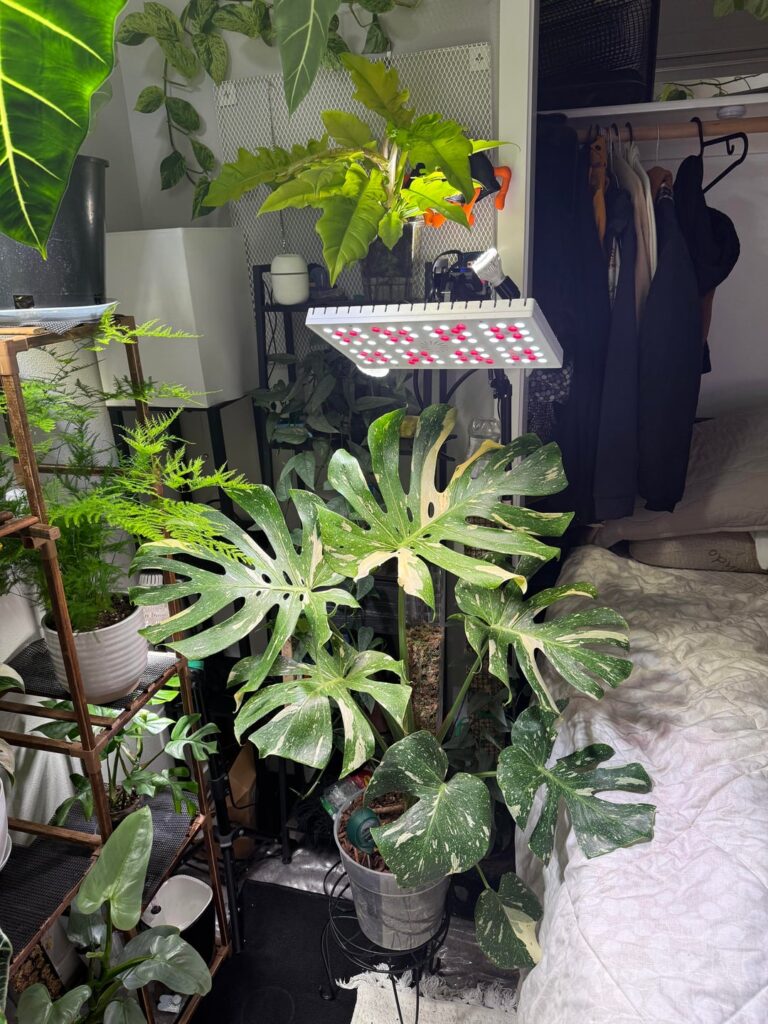 I seem to have some…friends in my pot I seem to have some…friends in my pot