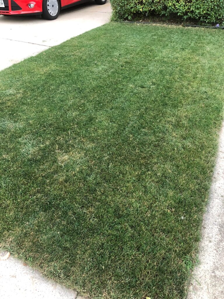 Compost is King Compost is King