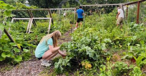 Kitchen Garden Tour returns Sunday, Aug. 3 Kitchen Garden Tour returns Sunday, Aug. 3
