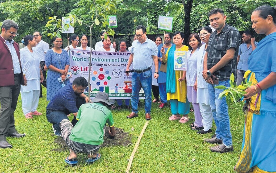 How one man’s trees are changing Assam’s landscape How one man’s trees are changing Assam’s landscape