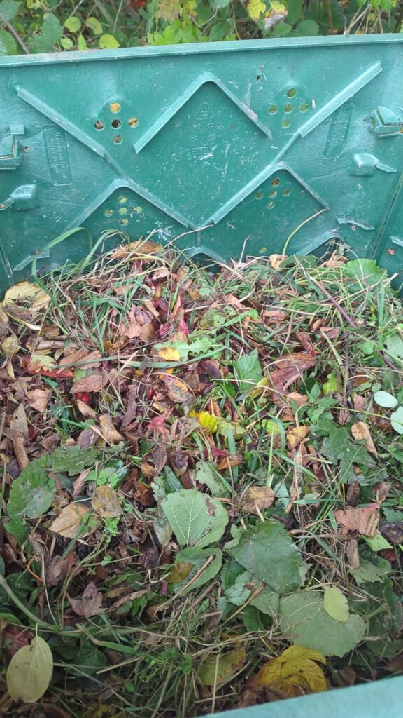 3 Days. Piss, grass and other greens. Only 17c in 8C outside temp 3 Days. Piss, grass and other greens. Only 17c in 8C outside temp