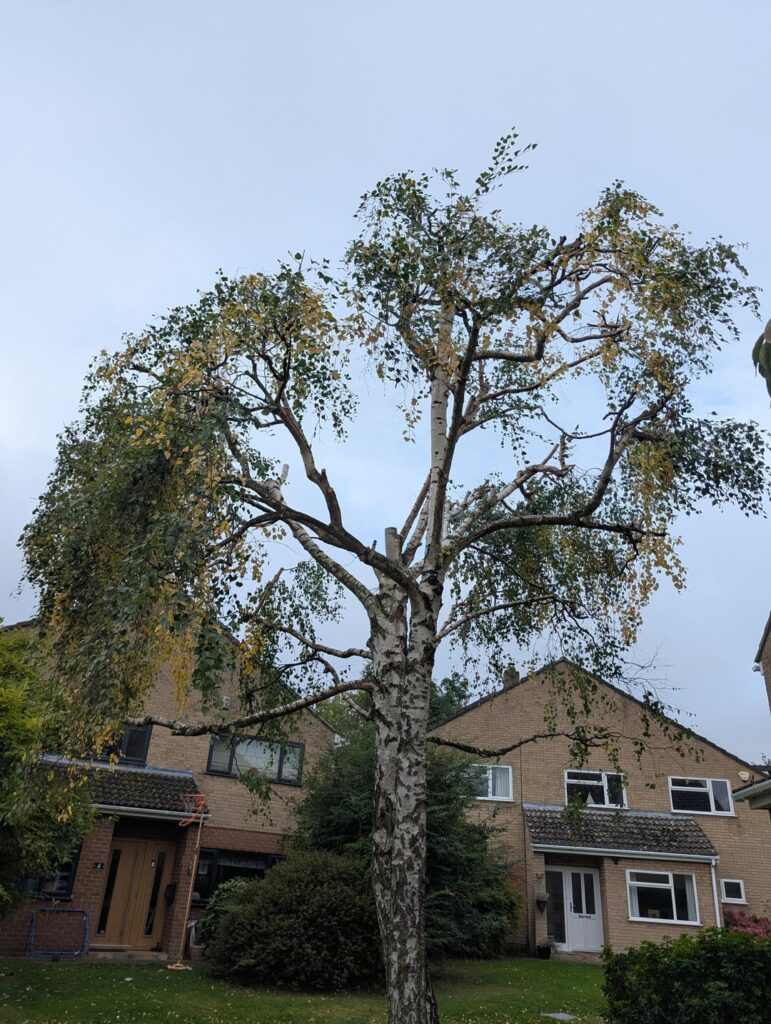 Is this a complete hack job? (UK)
