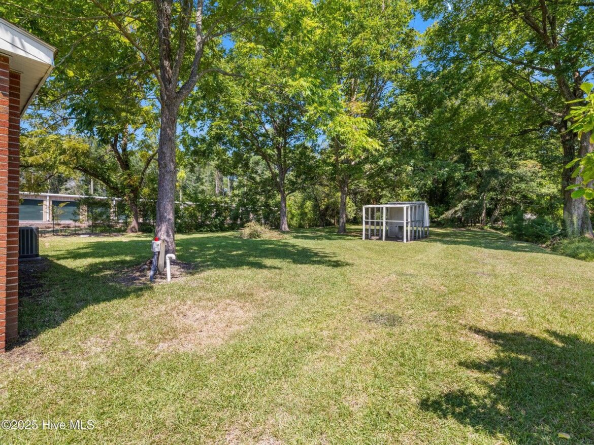Jacksonville North Carolina Looking for advice on how and what to switch to that's not grass and is low maintenance, totally new to this thanks in advance!