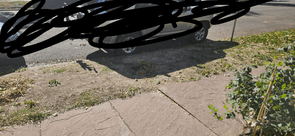 What is your preferred method of grass removal?